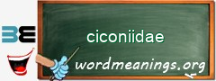 WordMeaning blackboard for ciconiidae